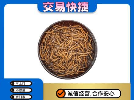 苏州礼品回收虫草.jpg